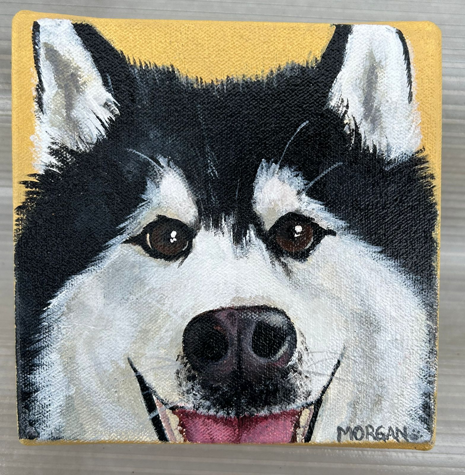 Retrato pintado en primer plano del rostro de un perro blanco y negro con la lengua afuera, sobre un fondo amarillo.